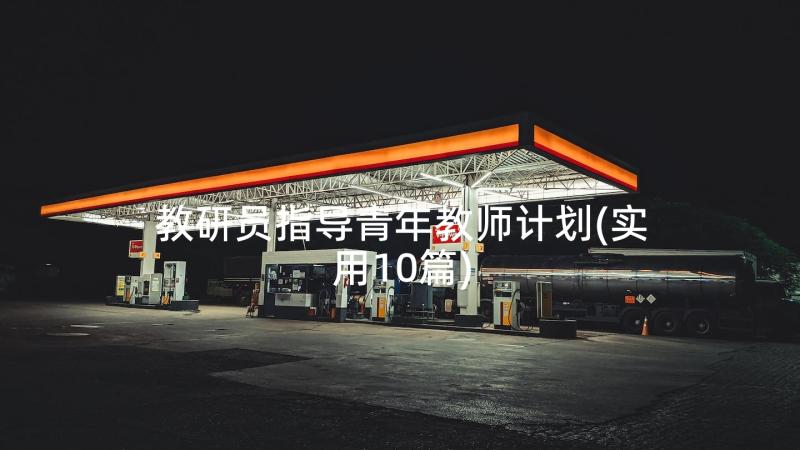 教研员指导青年教师计划(实用10篇)