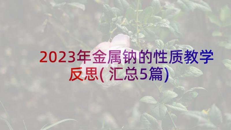 2023年金属钠的性质教学反思(汇总5篇)