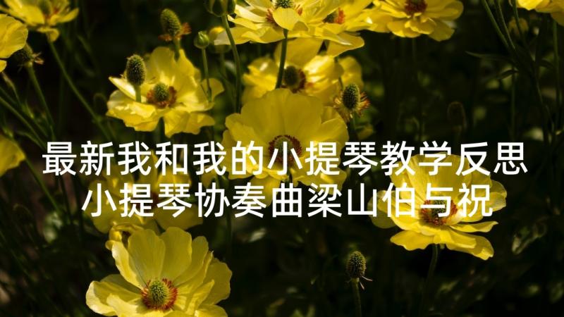 最新我和我的小提琴教学反思 小提琴协奏曲梁山伯与祝英台之教学反思(汇总5篇)