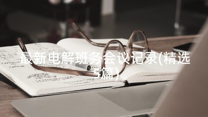 最新电解班务会议记录(精选5篇)