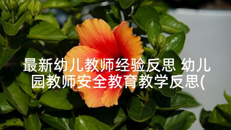 最新幼儿教师经验反思 幼儿园教师安全教育教学反思(汇总5篇)