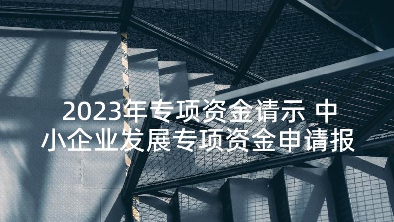 2023年专项资金请示 中小企业发展专项资金申请报告(通用5篇)