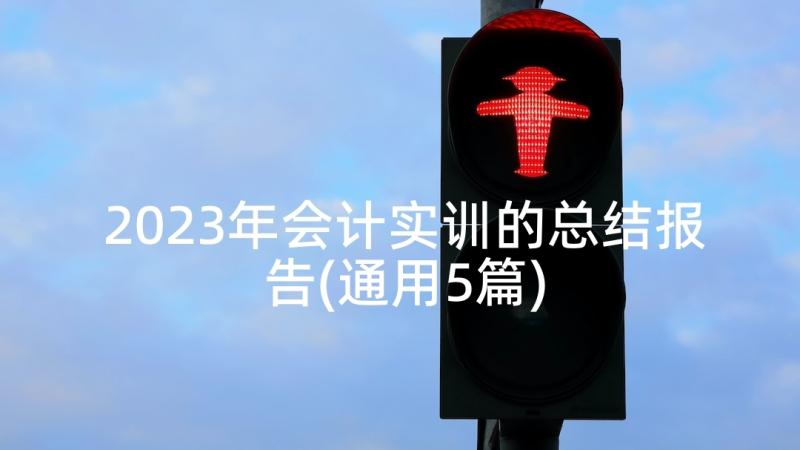 2023年会计实训的总结报告(通用5篇)