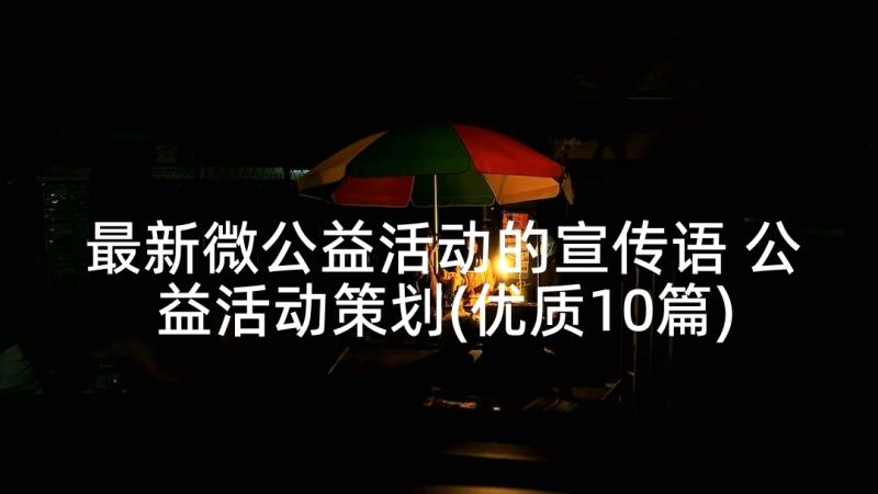 最新微公益活动的宣传语 公益活动策划(优质10篇)