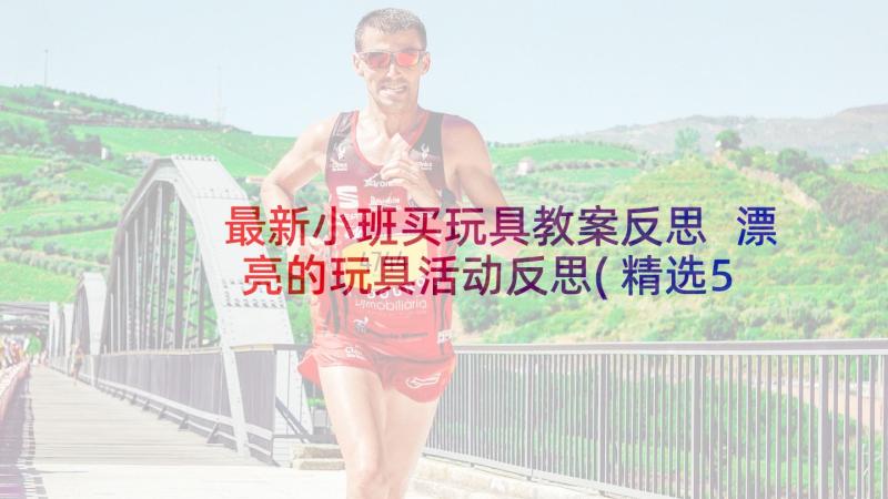 最新小班买玩具教案反思 漂亮的玩具活动反思(精选5篇)