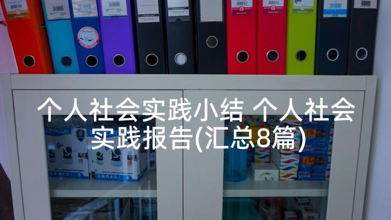 个人社会实践小结 个人社会实践报告(汇总8篇)