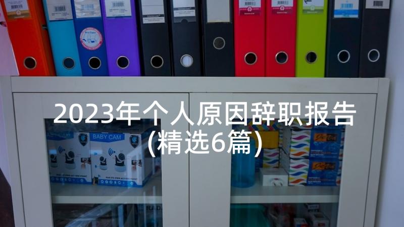 2023年个人原因辞职报告(精选6篇)