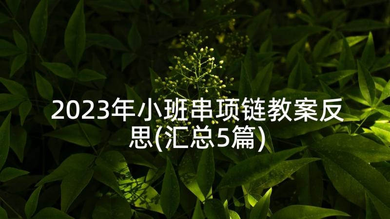 2023年小班串项链教案反思(汇总5篇)