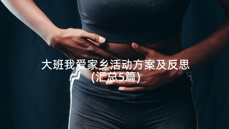 大班我爱家乡活动方案及反思(汇总5篇)