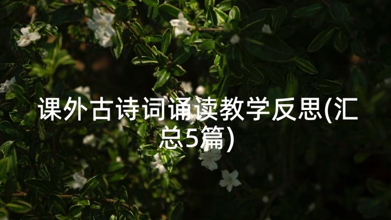 课外古诗词诵读教学反思(汇总5篇)