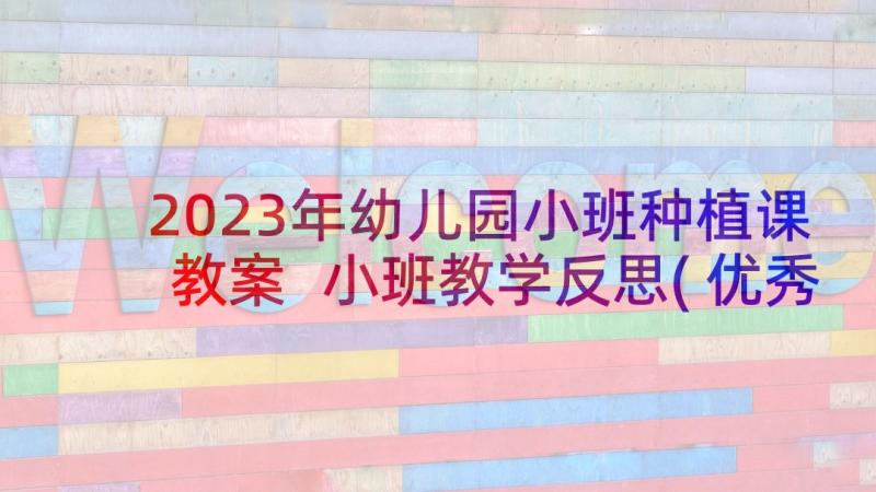 2023年幼儿园小班种植课教案 小班教学反思(优秀7篇)