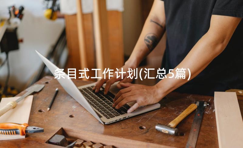 条目式工作计划(汇总5篇)