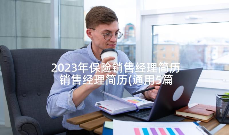 2023年保险销售经理简历 销售经理简历(通用5篇)