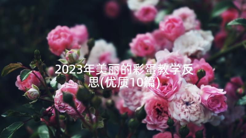 2023年美丽的彩蛋教学反思(优质10篇)