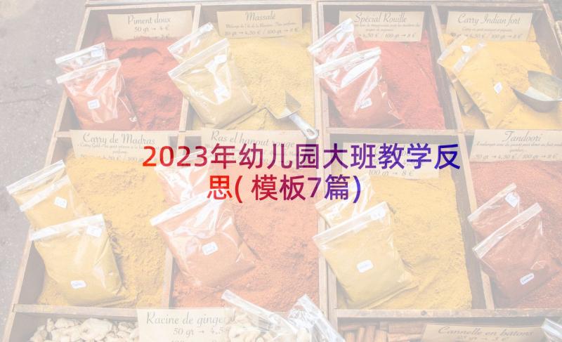 2023年幼儿园大班教学反思(模板7篇)