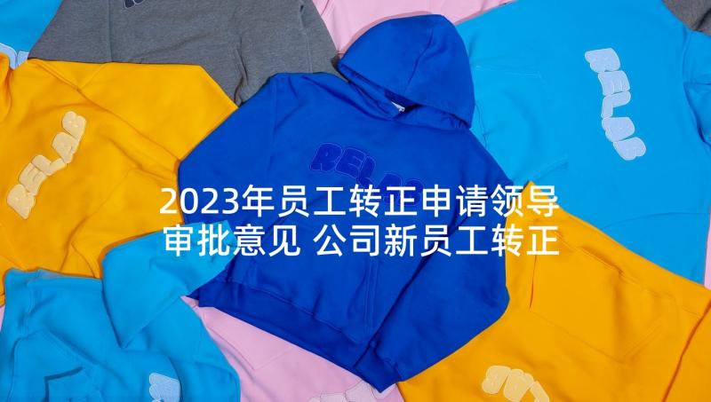 2023年员工转正申请领导审批意见 公司新员工转正申请书(大全10篇)