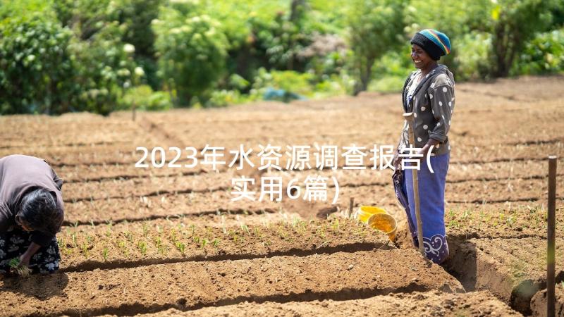 2023年水资源调查报告(实用6篇)