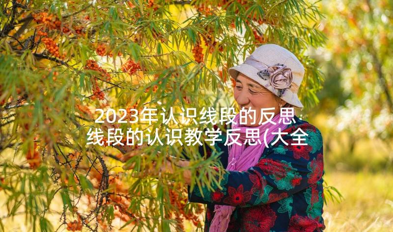 2023年认识线段的反思 线段的认识教学反思(大全9篇)