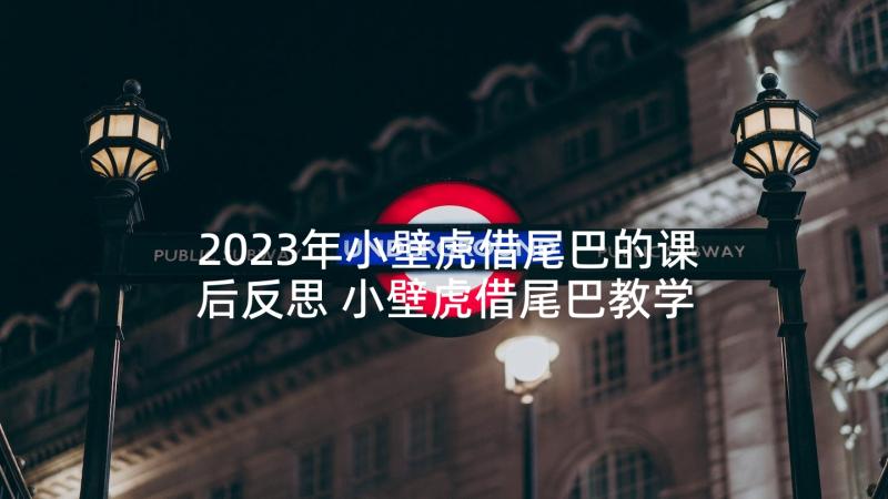 2023年小壁虎借尾巴的课后反思 小壁虎借尾巴教学反思(精选5篇)