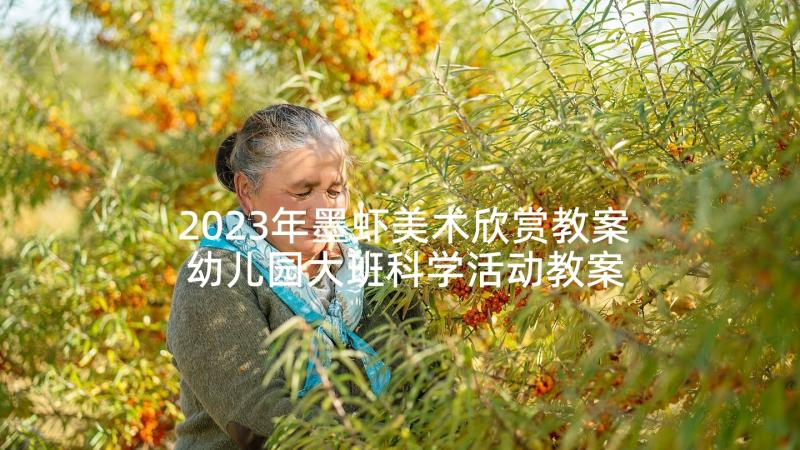 2023年墨虾美术欣赏教案 幼儿园大班科学活动教案(大全6篇)