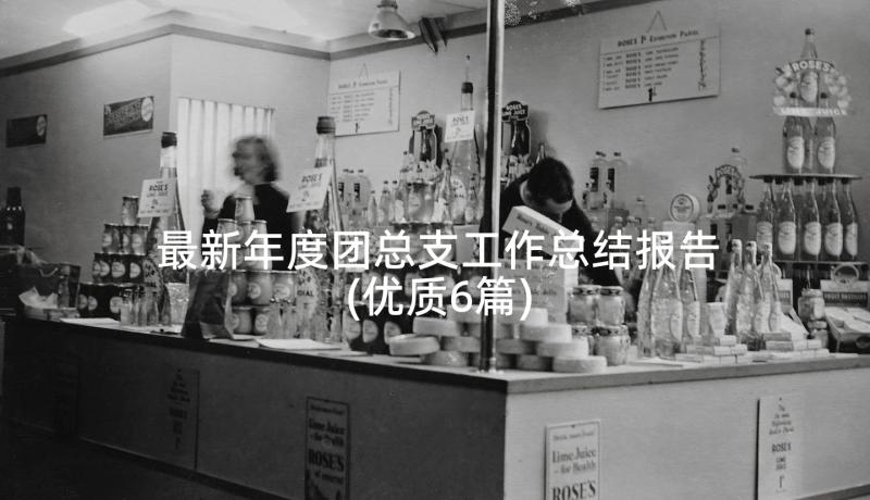 最新年度团总支工作总结报告(优质6篇)