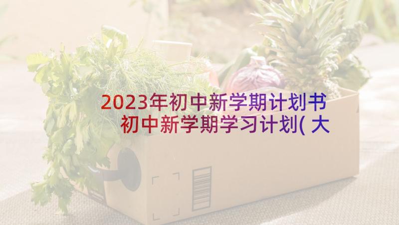 2023年初中新学期计划书 初中新学期学习计划(大全10篇)