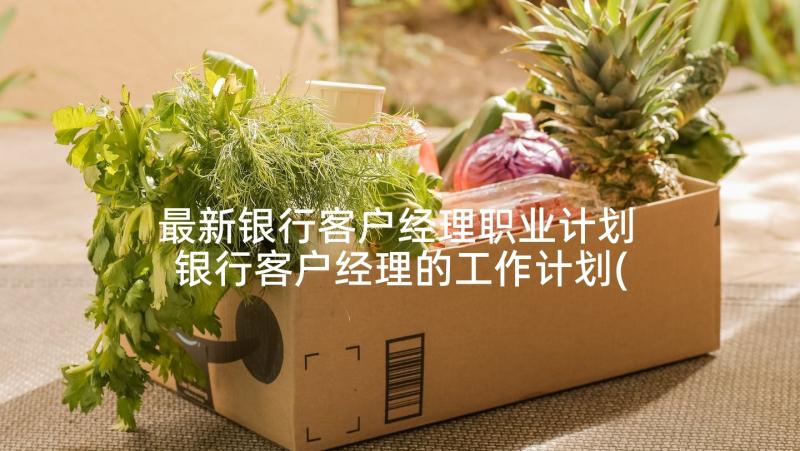 最新银行客户经理职业计划 银行客户经理的工作计划(大全9篇)