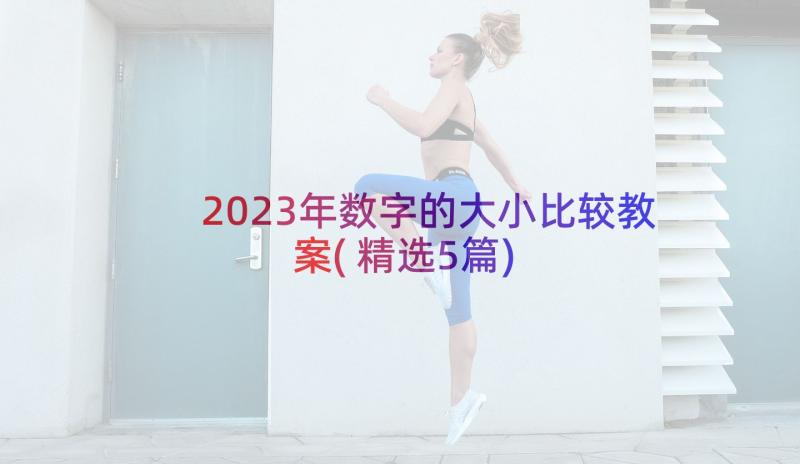 2023年数字的大小比较教案(精选5篇)