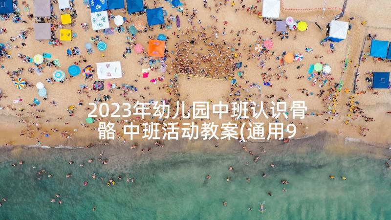 2023年幼儿园中班认识骨骼 中班活动教案(通用9篇)