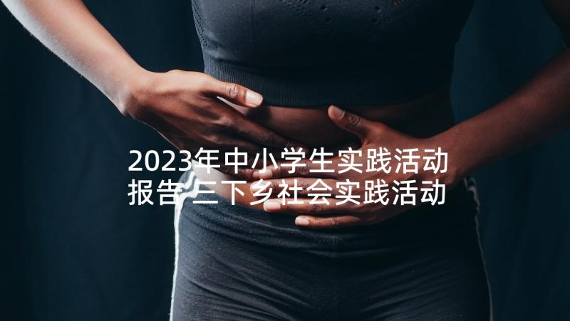 2023年中小学生实践活动报告 三下乡社会实践活动总结(大全7篇)