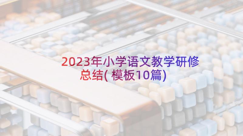 2023年小学语文教学研修总结(模板10篇)