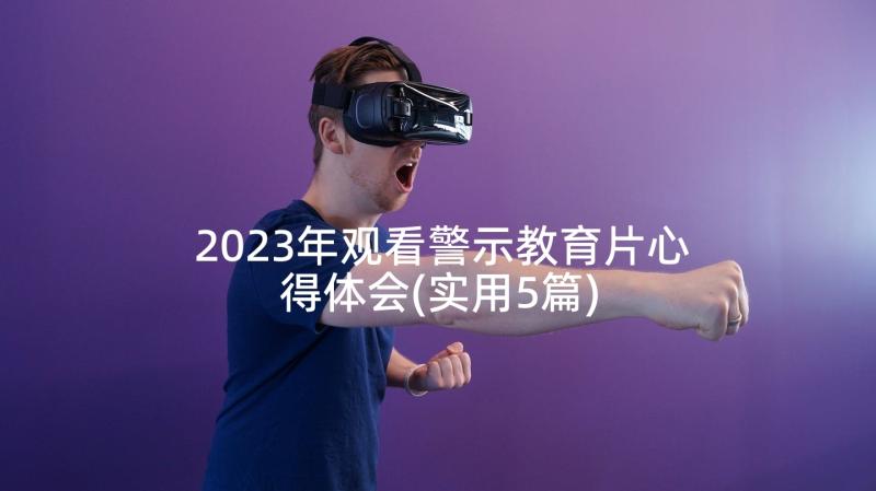 2023年观看警示教育片心得体会(实用5篇)