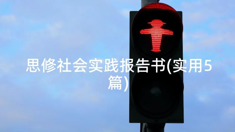 思修社会实践报告书(实用5篇)