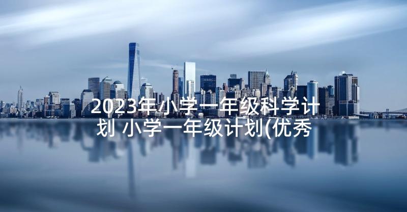 2023年小学一年级科学计划 小学一年级计划(优秀9篇)