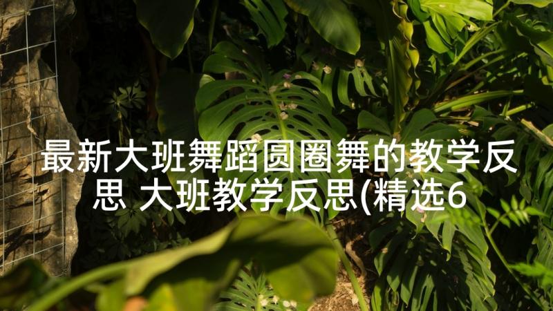 最新大班舞蹈圆圈舞的教学反思 大班教学反思(精选6篇)