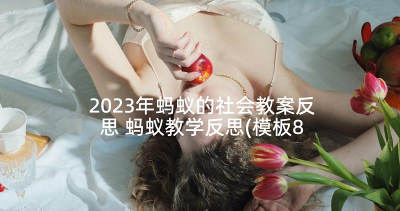 2023年蚂蚁的社会教案反思 蚂蚁教学反思(模板8篇)