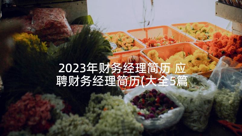 2023年财务经理简历 应聘财务经理简历(大全5篇)