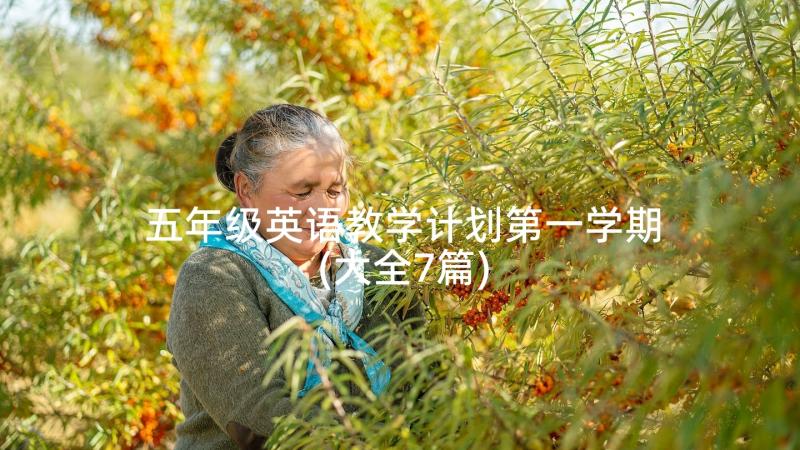 五年级英语教学计划第一学期(大全7篇)