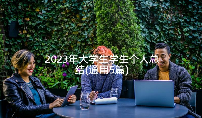 2023年大学生学生个人总结(通用5篇)