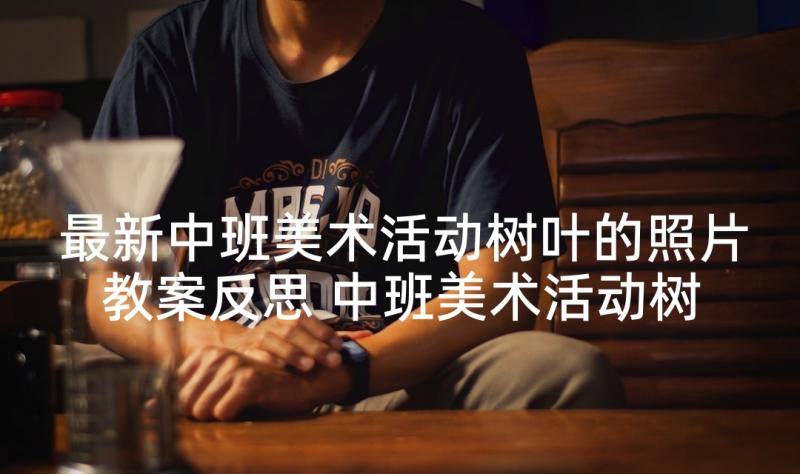 最新中班美术活动树叶的照片教案反思 中班美术活动树叶变变变(精选5篇)