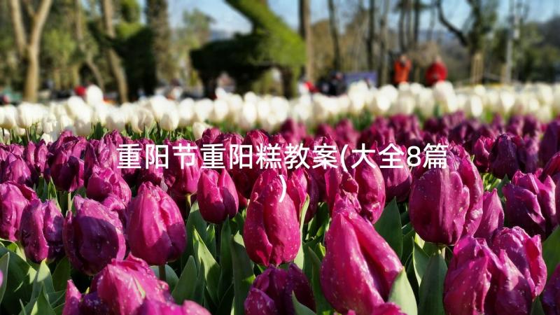 重阳节重阳糕教案(大全8篇)