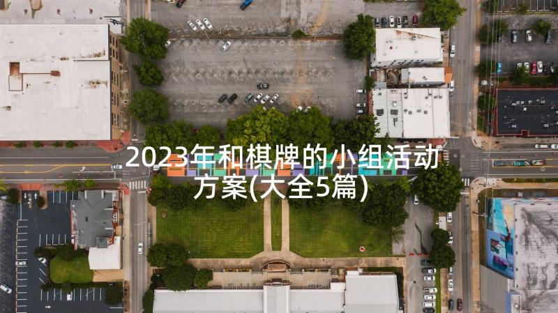 2023年和棋牌的小组活动方案(大全5篇)