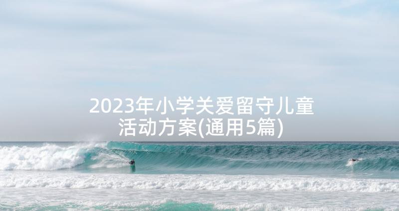 2023年小学关爱留守儿童活动方案(通用5篇)