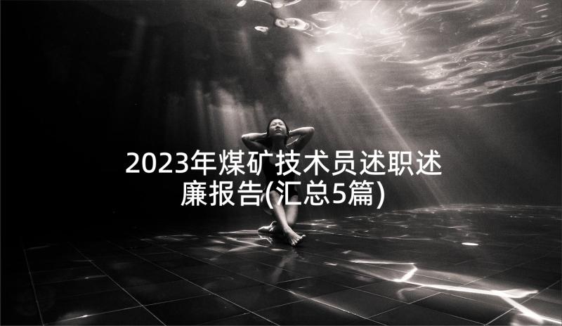 2023年煤矿技术员述职述廉报告(汇总5篇)