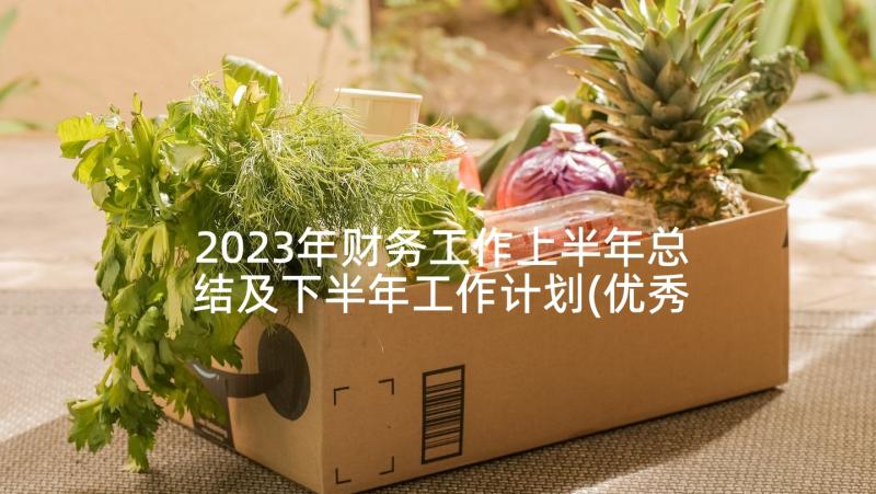 2023年财务工作上半年总结及下半年工作计划(优秀8篇)