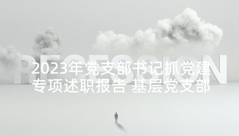 2023年党支部书记抓党建专项述职报告 基层党支部书记党建工作述职报告(实用6篇)