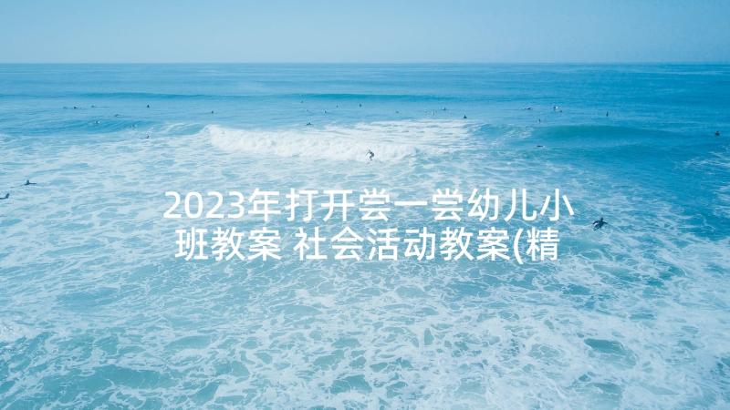 2023年打开尝一尝幼儿小班教案 社会活动教案(精选8篇)