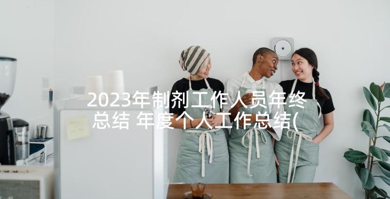 2023年制剂工作人员年终总结 年度个人工作总结(通用6篇)