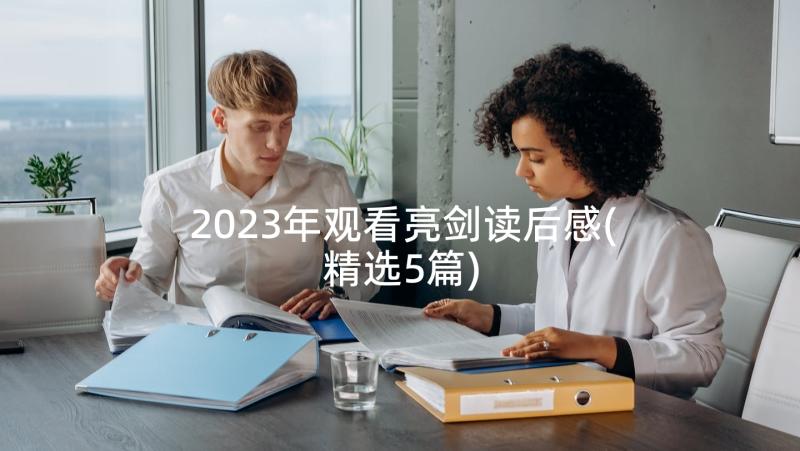 2023年观看亮剑读后感(精选5篇)