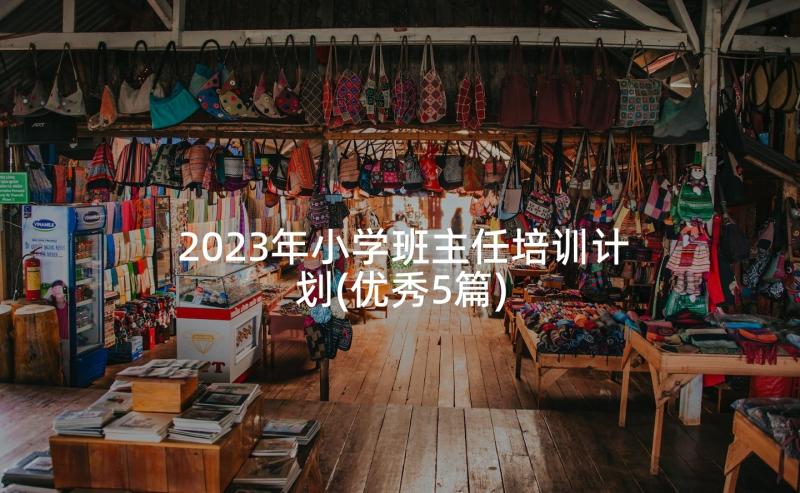 2023年小学班主任培训计划(优秀5篇)